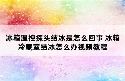 冰箱温控探头结冰是怎么回事 冰箱冷藏室结冰怎么办视频教程